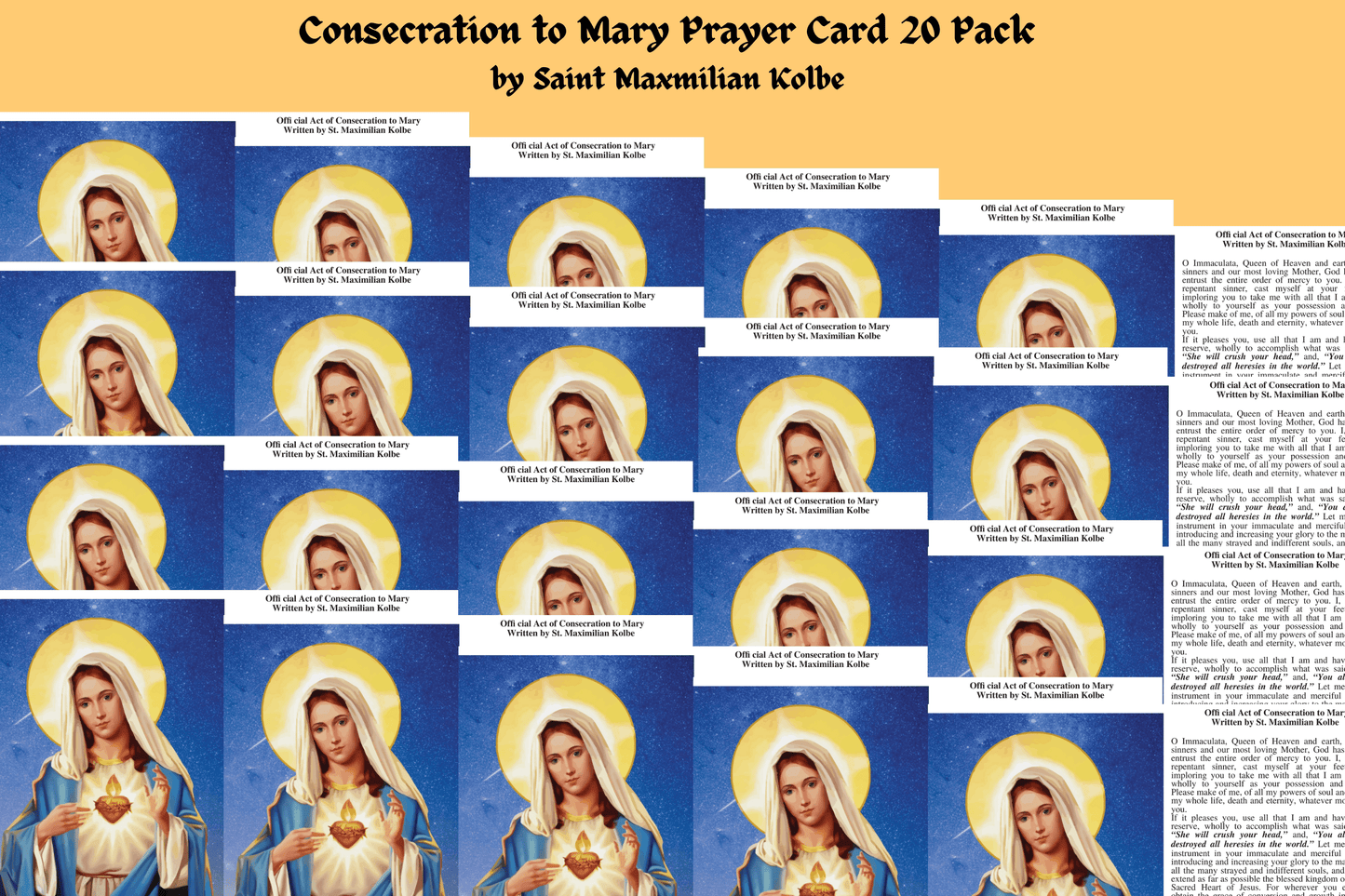 Consecration to Mother Mary Prayer Cards Laminated - Bob and Penny Lord
