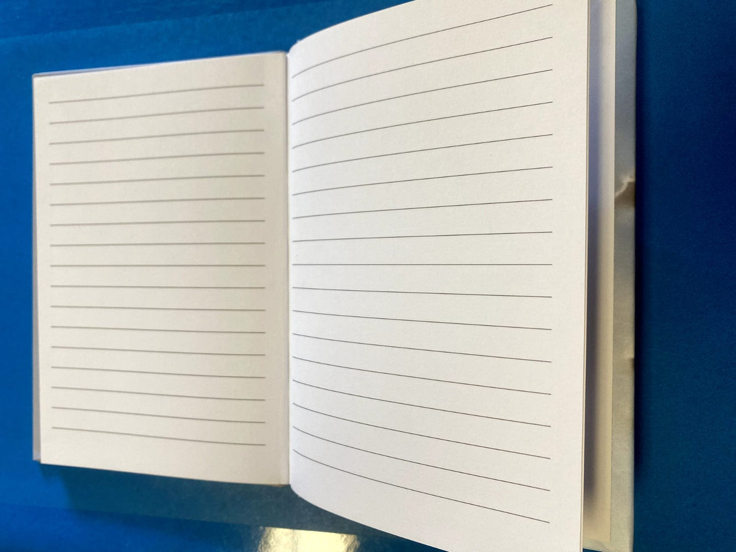 Our Lady of Grace Hardcover Small Journal/Notebook, New #024-2 - Bob and Penny Lord Journeys of Faith