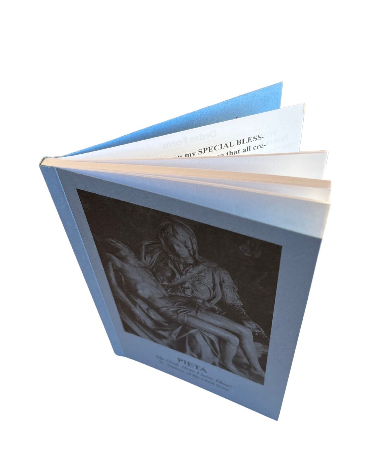 The Pieta Prayer Booklet - The 15 Saint Bridget Prayers, New 5 pack - Journeys of Faith