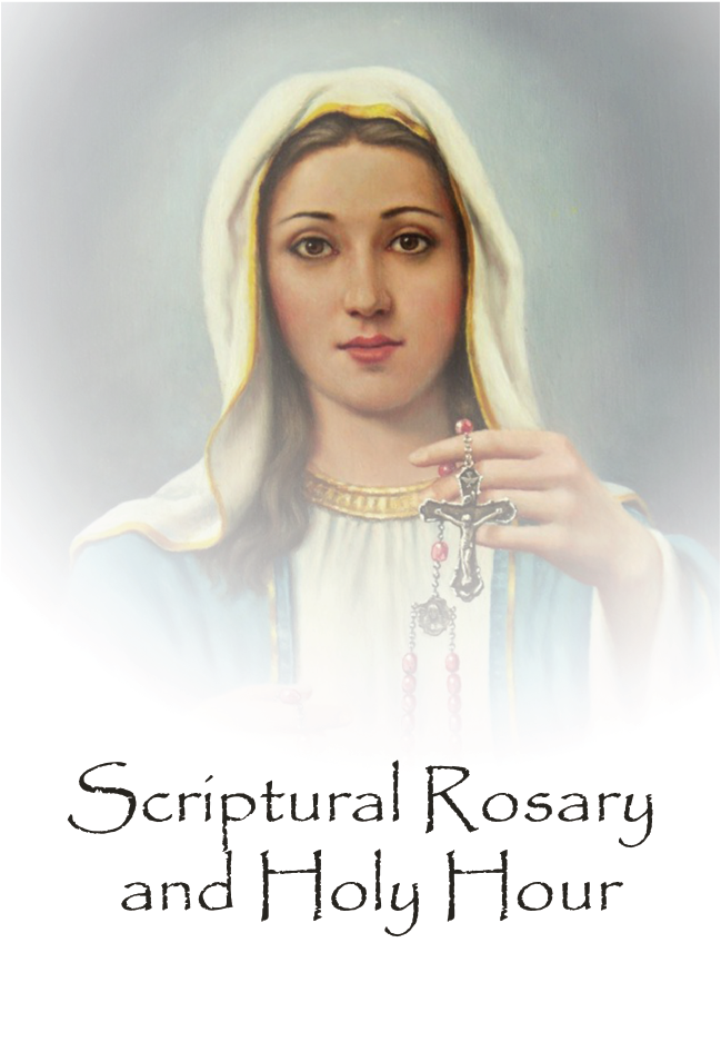 Scriptural Rosary Book - Soft Cover (C) - Journeys of Faith