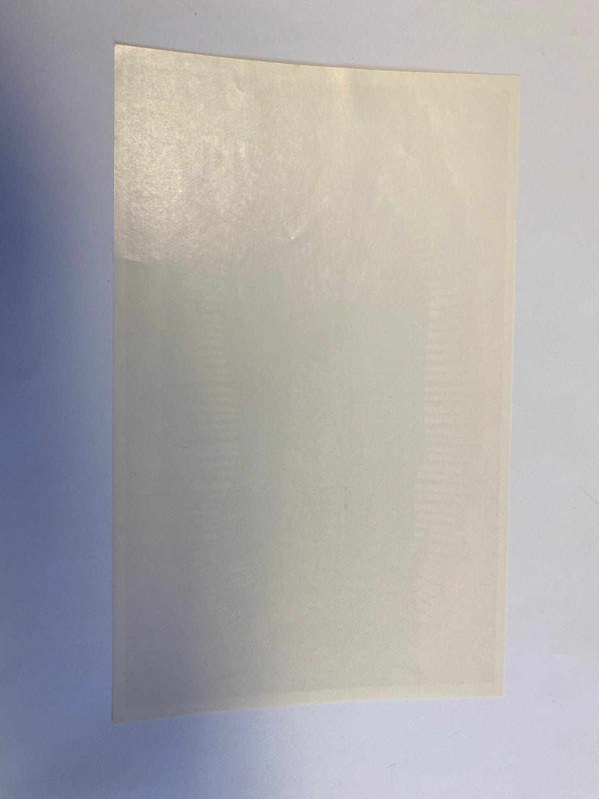 Our Lady of Guadalupe Image 9  x 5.50", New - Bob and Penny Lord Journeys of Faith