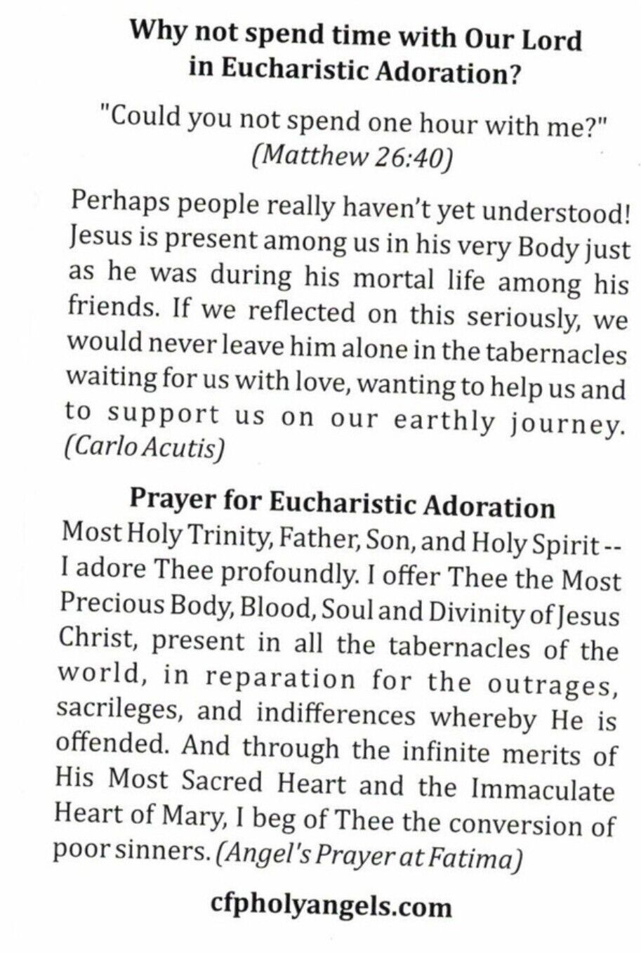 Bl Carlo Acutis & Angel Prayer at Fatima for Eucharistic Adoration, New #PC-28 - Bob and Penny Lord Journeys of Faith