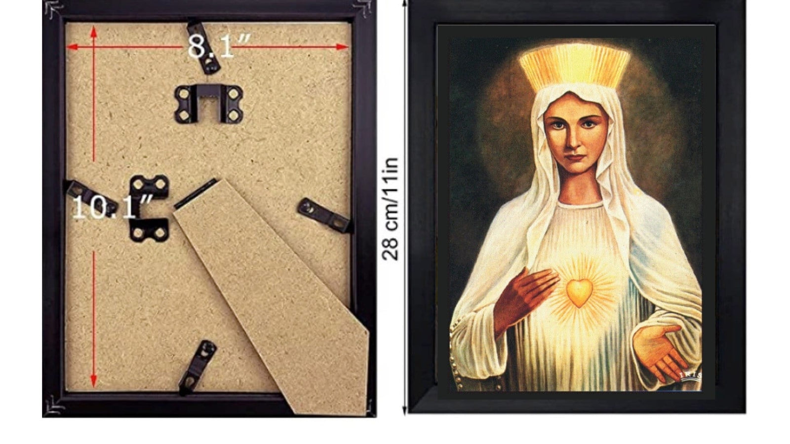 Our Lady of Beauraing 8 by 10 Print - Journeys of Faith