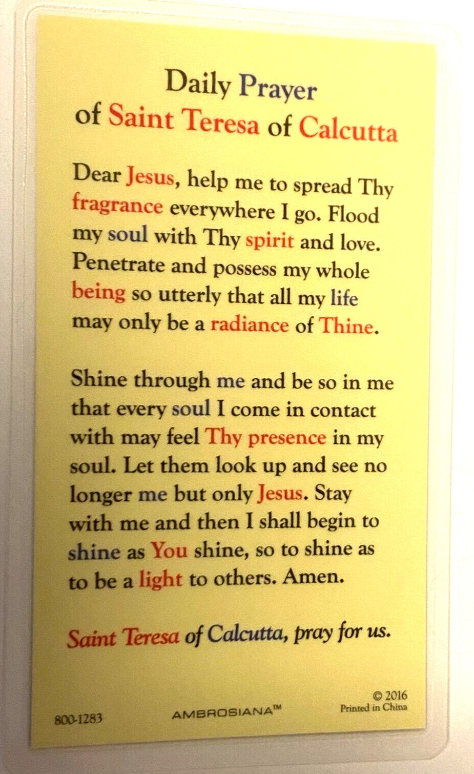 Saint Mother Teresa of Calcutta Laminated Prayer Card, New #PCL-24