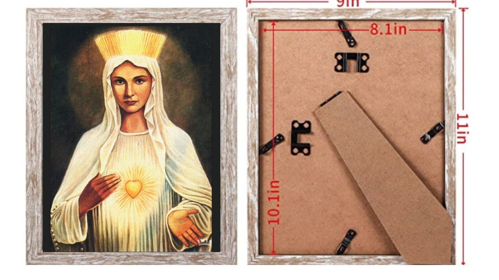 Our Lady of Beauraing 8 by 10 Print - Journeys of Faith