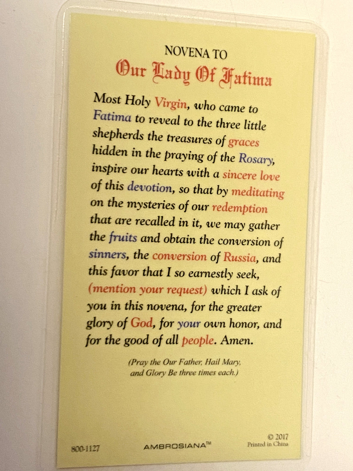 Our Lady of Fatima Laminated Novena Prayer Card, New