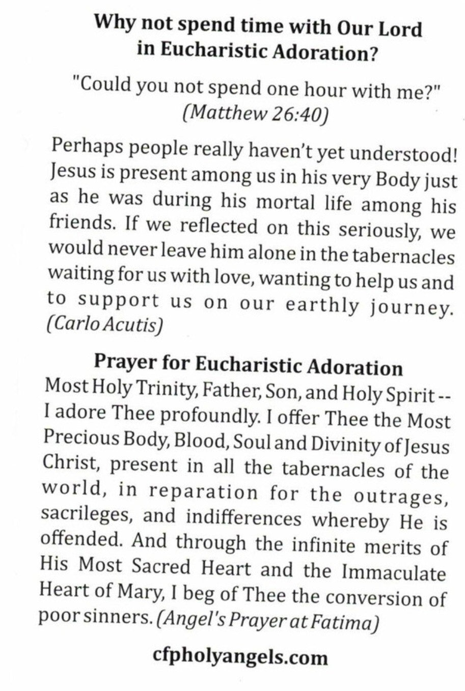 Saint Carlo Acutis & Angel Prayer at Fatima for Eucharistic  Adoration, New #PC-106 - Journeys of Faith