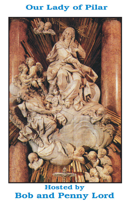 Our Lady of Pilar DVD by Bob & Penny Lord, New