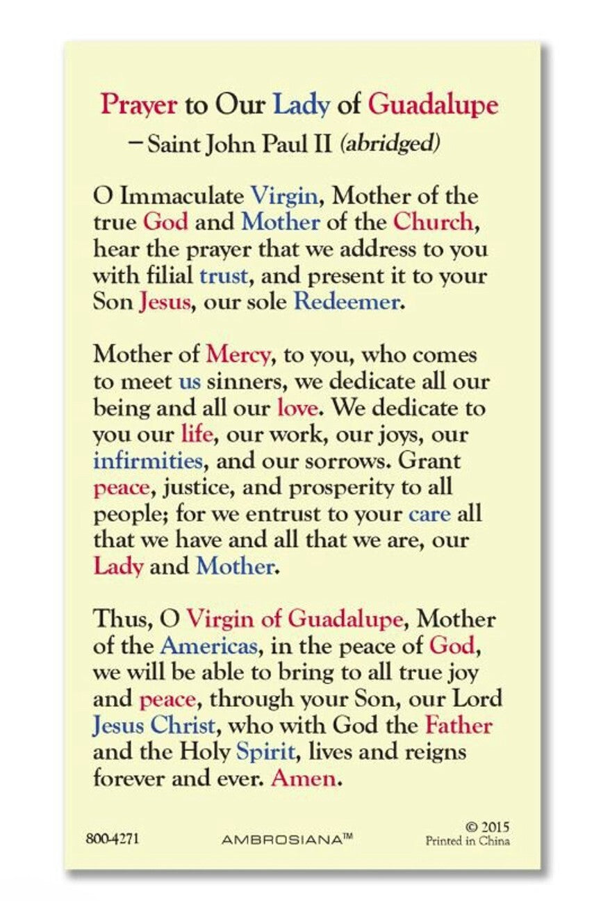 Our Lady of Guadalupe Laminated Prayer Card with Visions, New #PCL-37