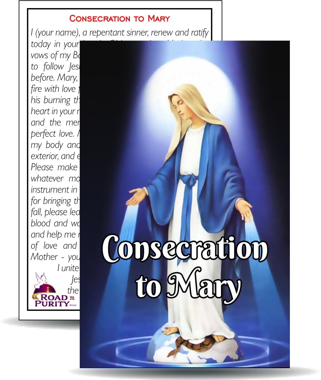 Consecration to Mary- Holy Card / 2 1/4"x 3 1/2" (b) (C) - Journeys of Faith