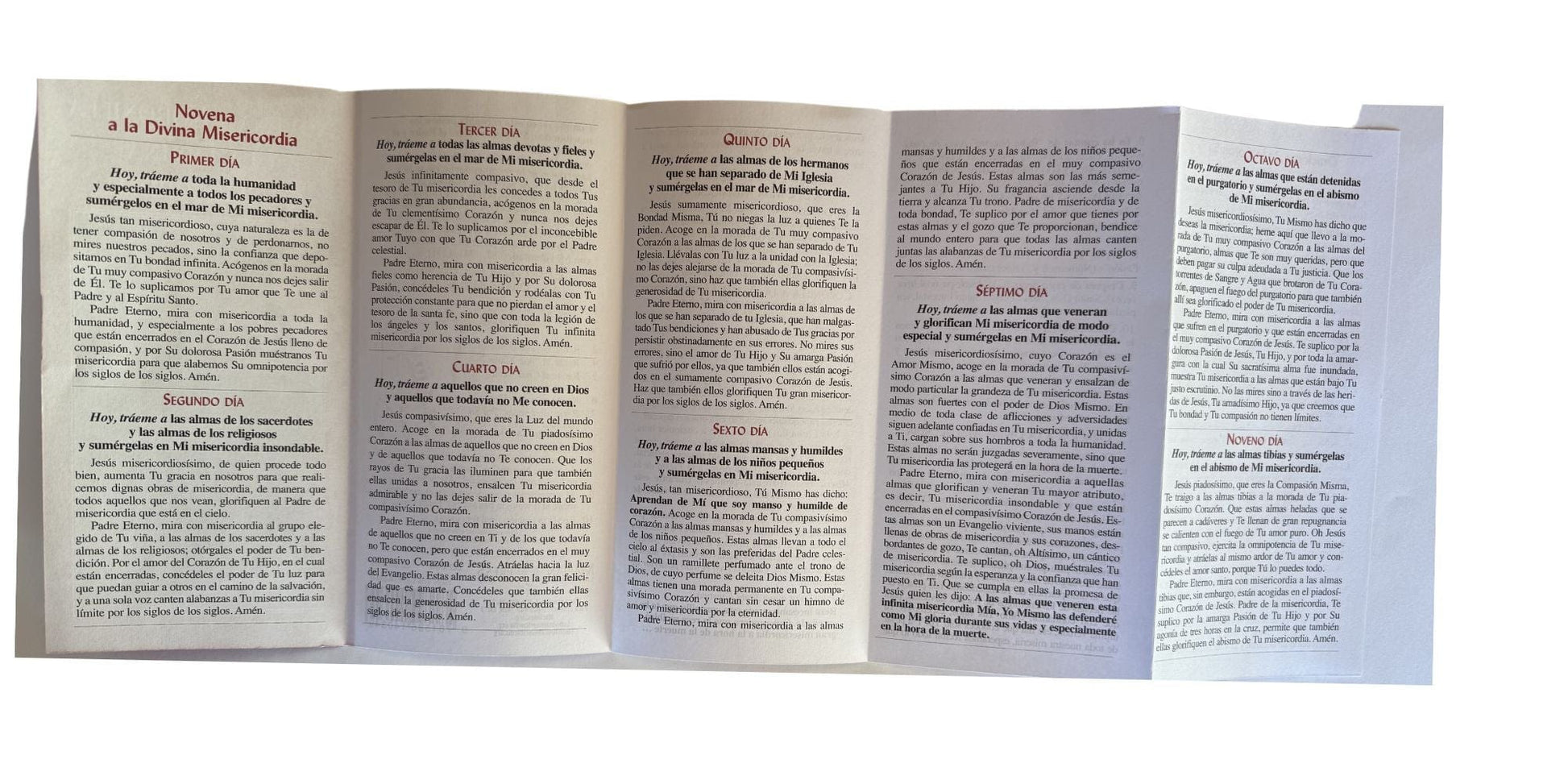 Novena y Coronilla A La Divina Misericordia Pamphlet - Bob and Penny Lord Journeys of Faith