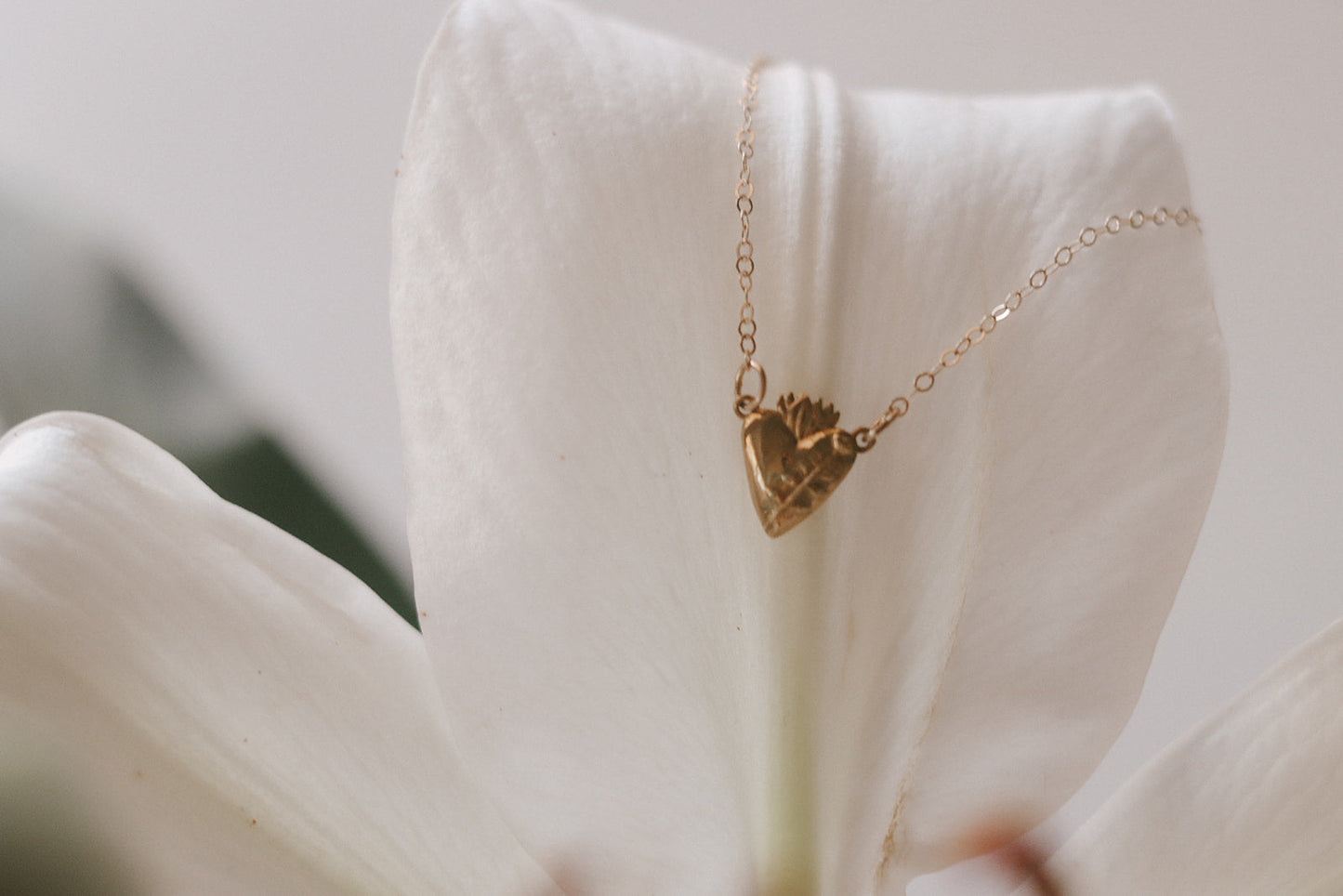 Holy Hearts™ Chaste Heart Of St. Joseph Necklace - Journeys of Faith