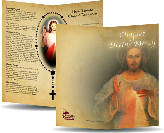 Chaplet of Divine Mercy - Prayer Card / 3x 6" folded (c) - Journeys of Faith