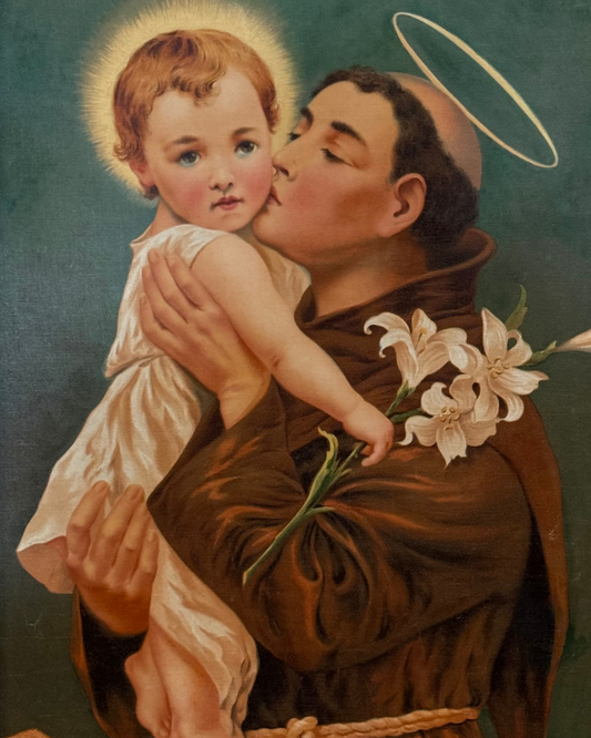 Saint Anthony of Padua 8 by 10 Image Download - Journeys of Faith