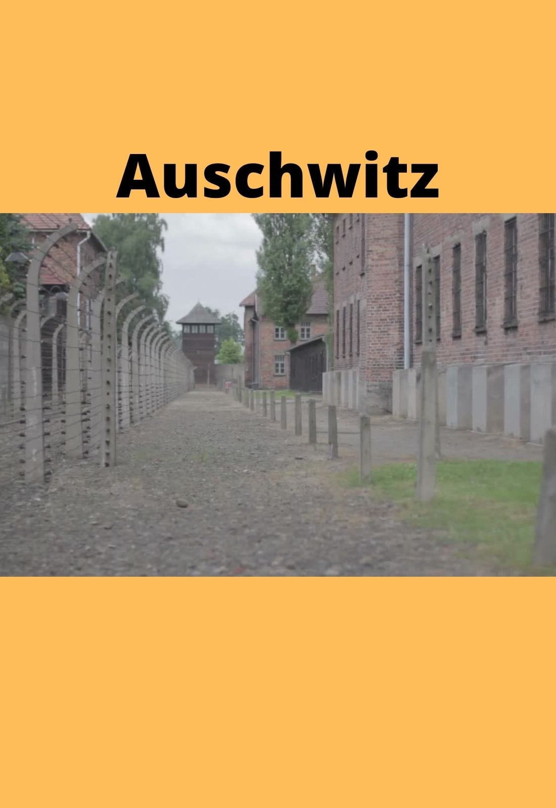 Saint Maxmilian Kolbe - Martyr of Auschwitz DVD - Bob and Penny Lord