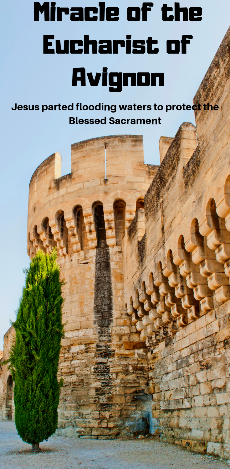 Best Seller Miracles of the Eucharist Books I and II Books - Bob and Penny Lord