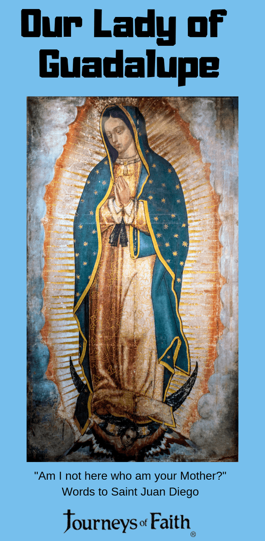 Our Lady of Guadalupe DVD - Bob and Penny Lord