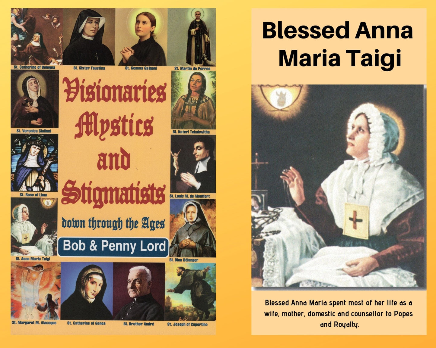 Book and DVD combo featuring "Visionaries Mystics and Stigmatists" by Bob and Penny Lord Ministry, with image of the book cover and DVD case.