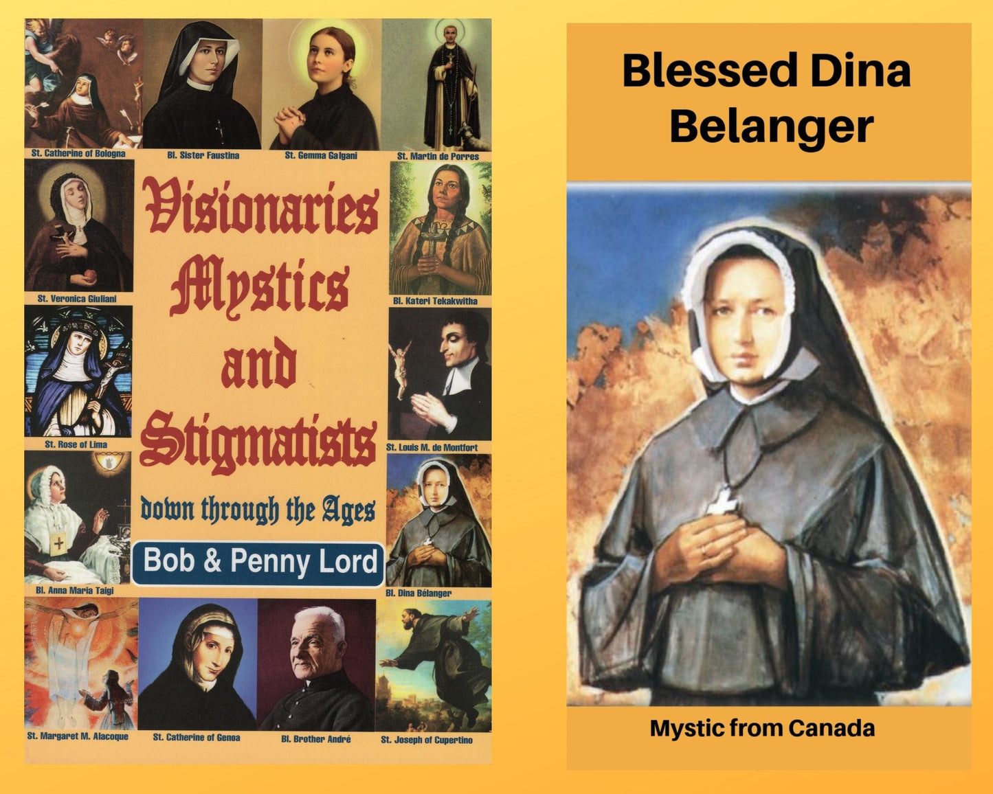 Book and DVD combo featuring Visionaries Mystics and Stigmatists by Bob and Penny Lord Ministry, with a Blessed Dina Belanger DVD.