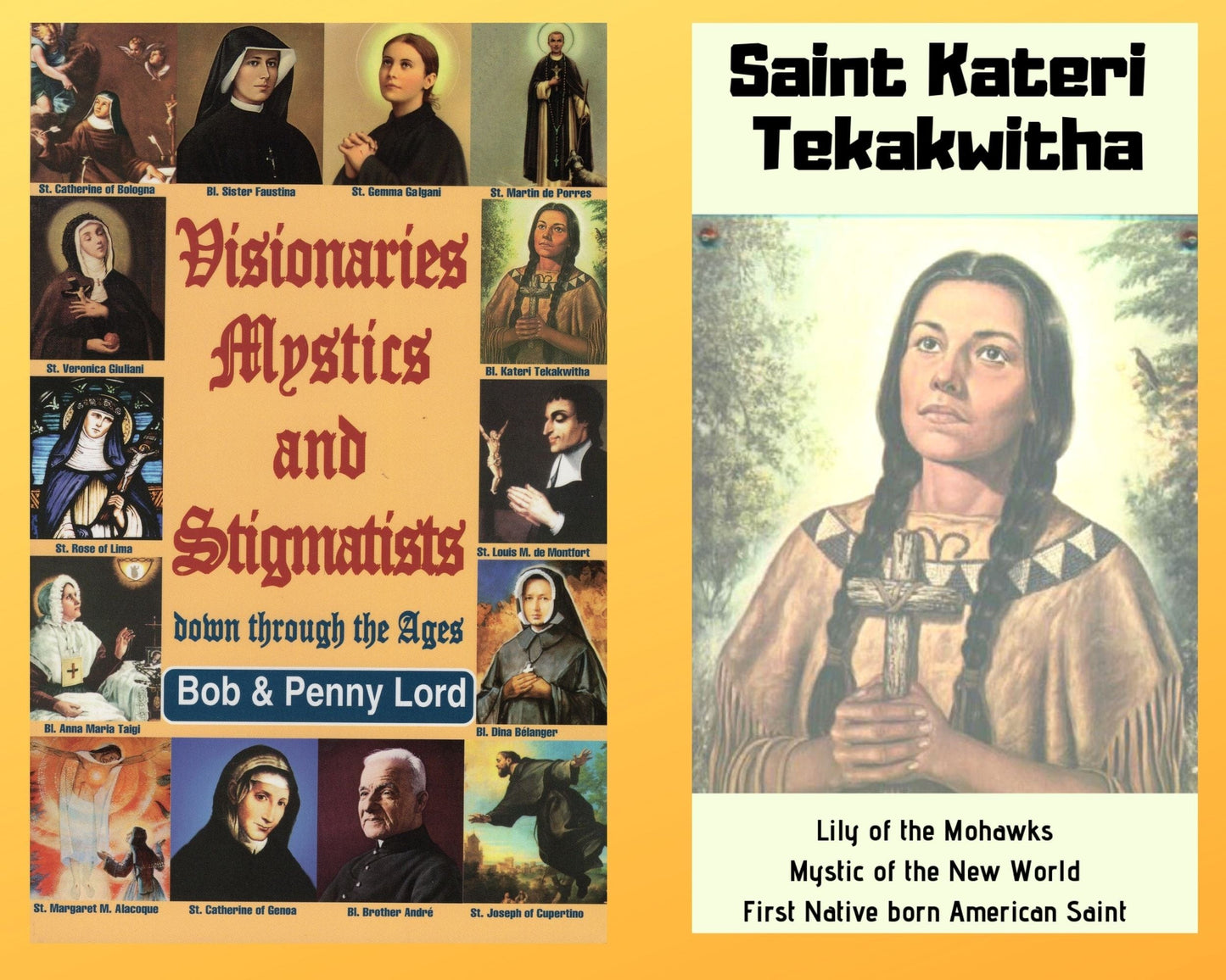 Book and DVD combo titled "Visionaries, Mystics, and Stigmatists" by Bob and Penny Lord Ministry, featuring Saint Kateri DVD, image of the package.