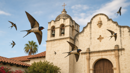 Like the Swallow, Finding Our Way Back to God