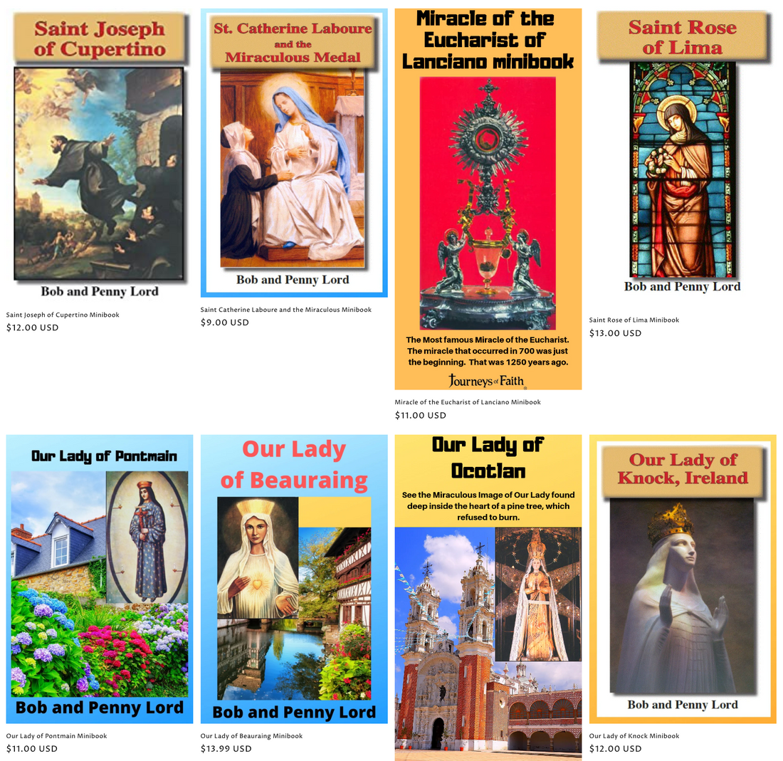 Catholic minibooks Collection