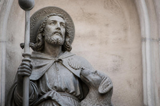 Patron Saint of Dogs: Saint Roch's Story & Legacy
