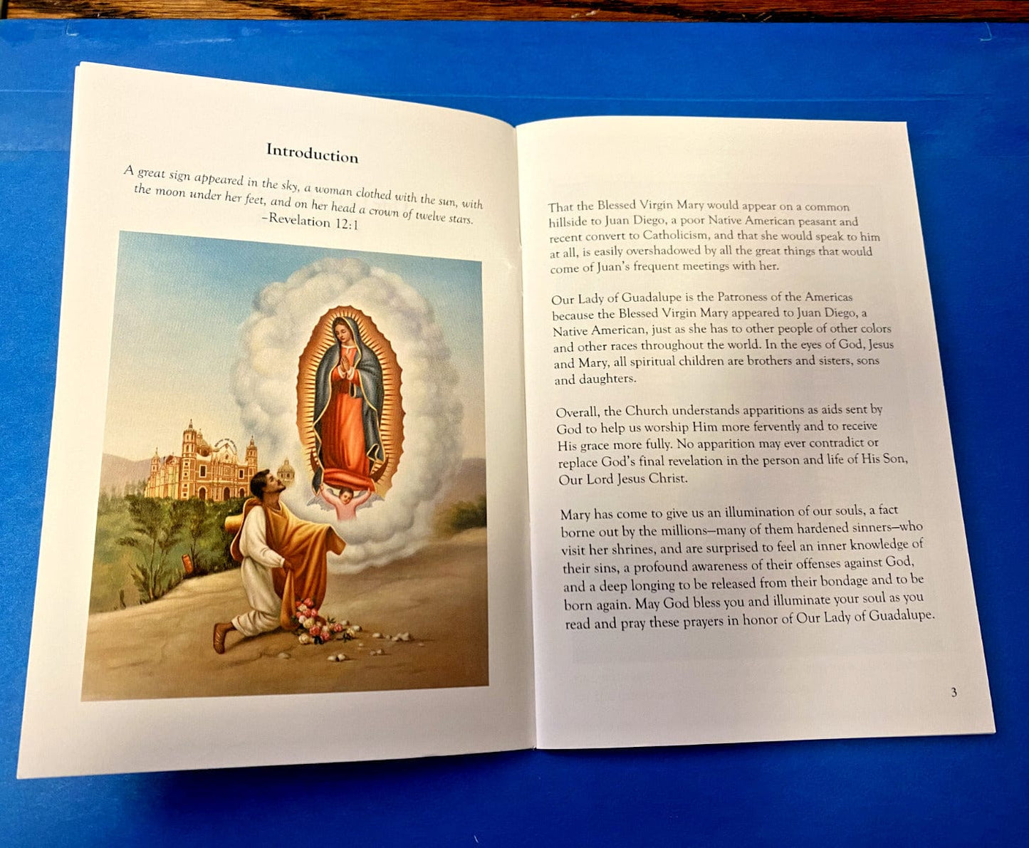 Our Lady of Guadalupe prayer book by Bob and Penny Lord, Christian spiritual collectible with religious imagery.