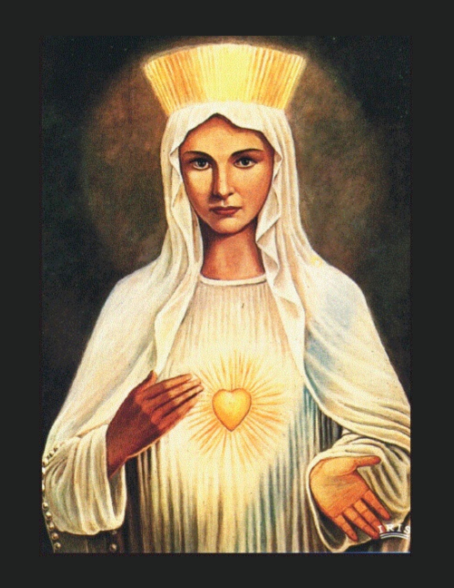 Our Lady of Beauraing 8 by 10 Print - Journeys of Faith