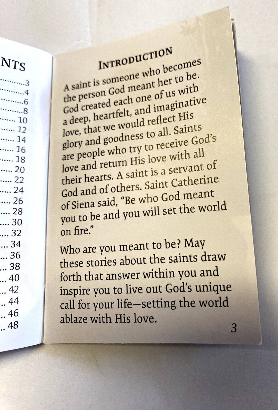 Pocket prayer book for girls featuring saints, from Bob and Penny Lord, with religious illustrations and Christian holy card design.