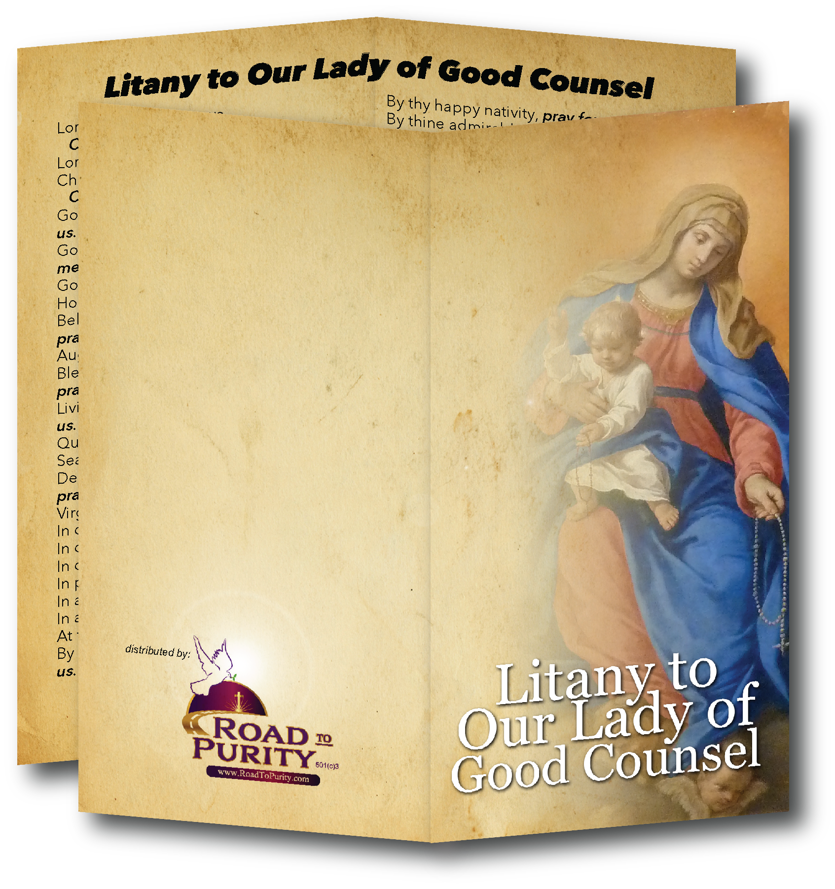 Litany to Our Lady of Good Counsel  - Prayer Card / 3" x 6" folded (c) - Journeys of Faith