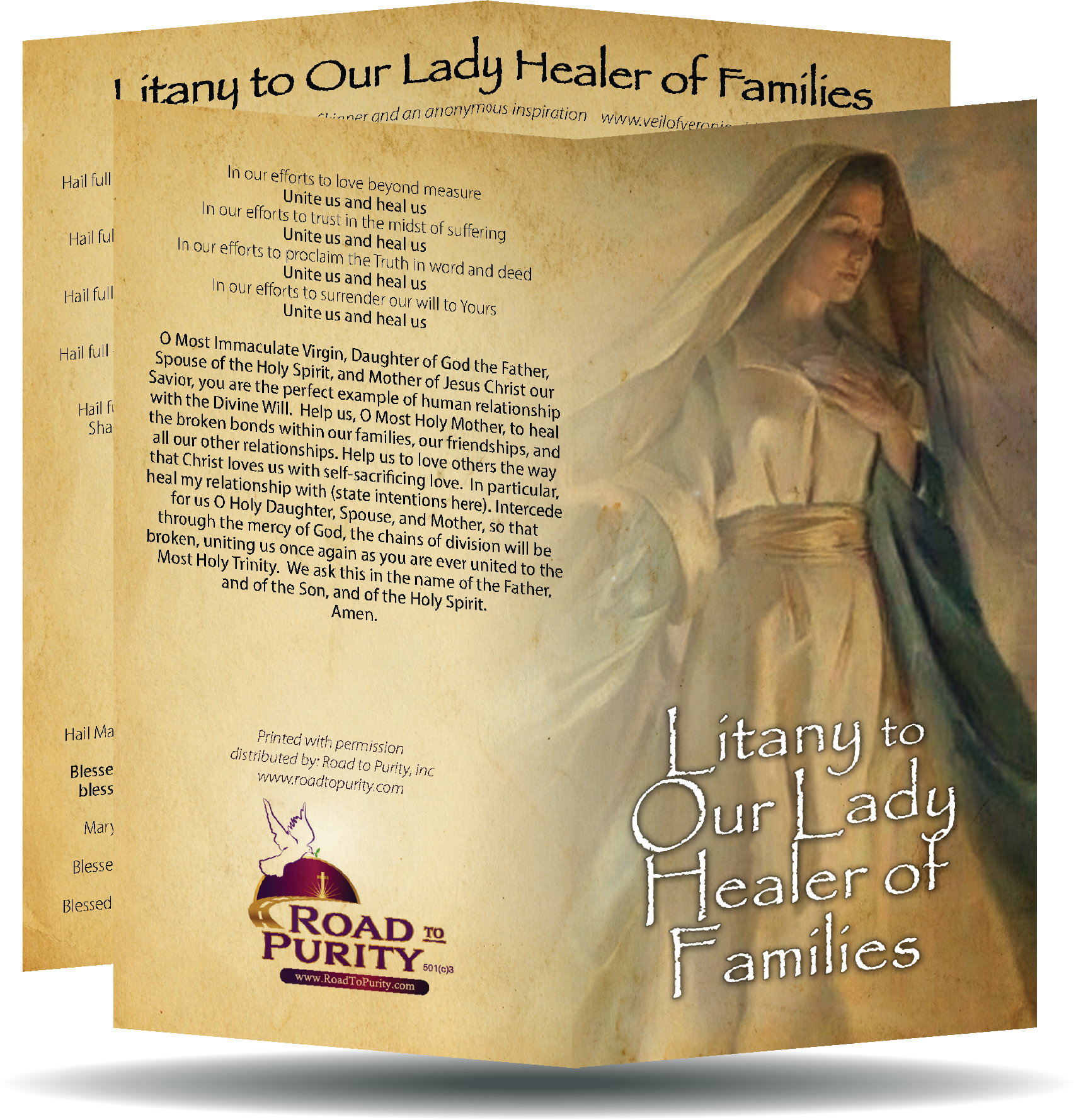 Litany to Our Lady Healer of Families  - Prayer Card / 3" x 6" folded (c) - Journeys of Faith