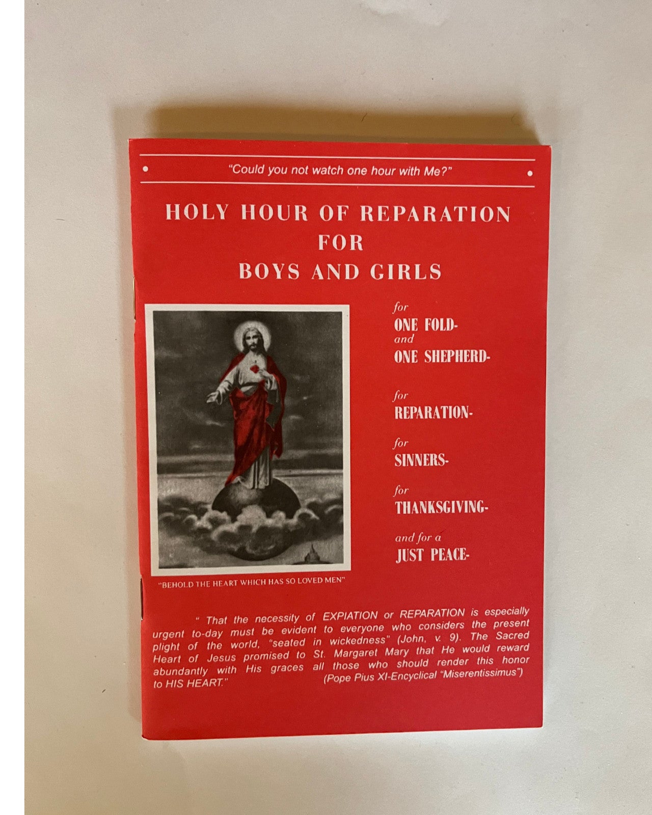 Holy Hour of Reparation to the Sacred Heart of Jesus For Boys and Girls - Journeys of Faith