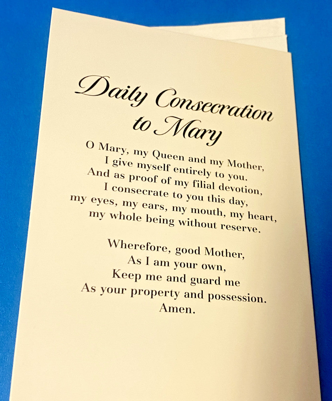 Immaculate Heart of Mary Blank Note Card w/envelope,New #AB-25-1 - Journeys of Faith