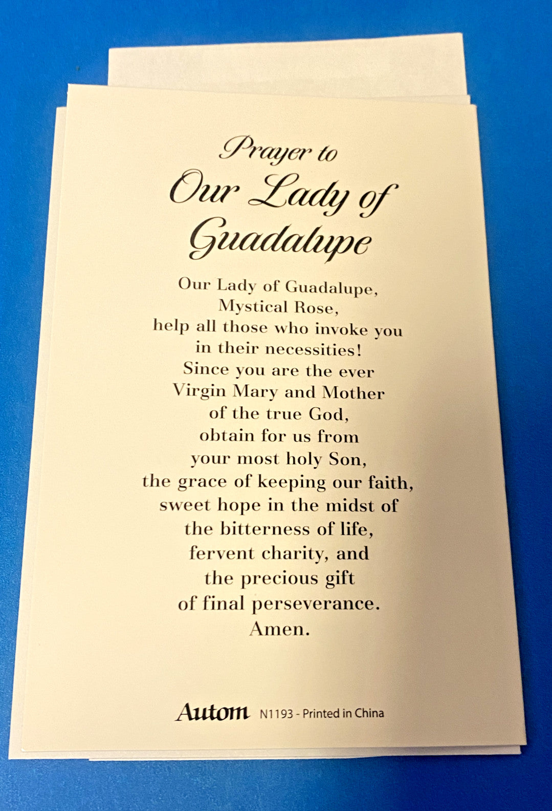 Our Lady of Guadalupe Blank Note Card w/envelope,New #AB-25-3 - Journeys of Faith