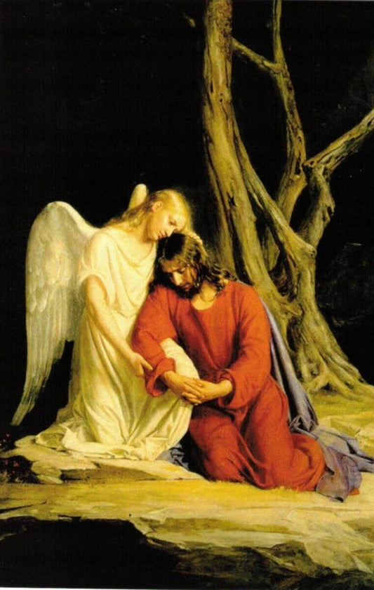Bl Carlo Acutis & Angel Prayer at Fatima for Eucharistic  Adoration, New #PC-106 - Journeys of Faith