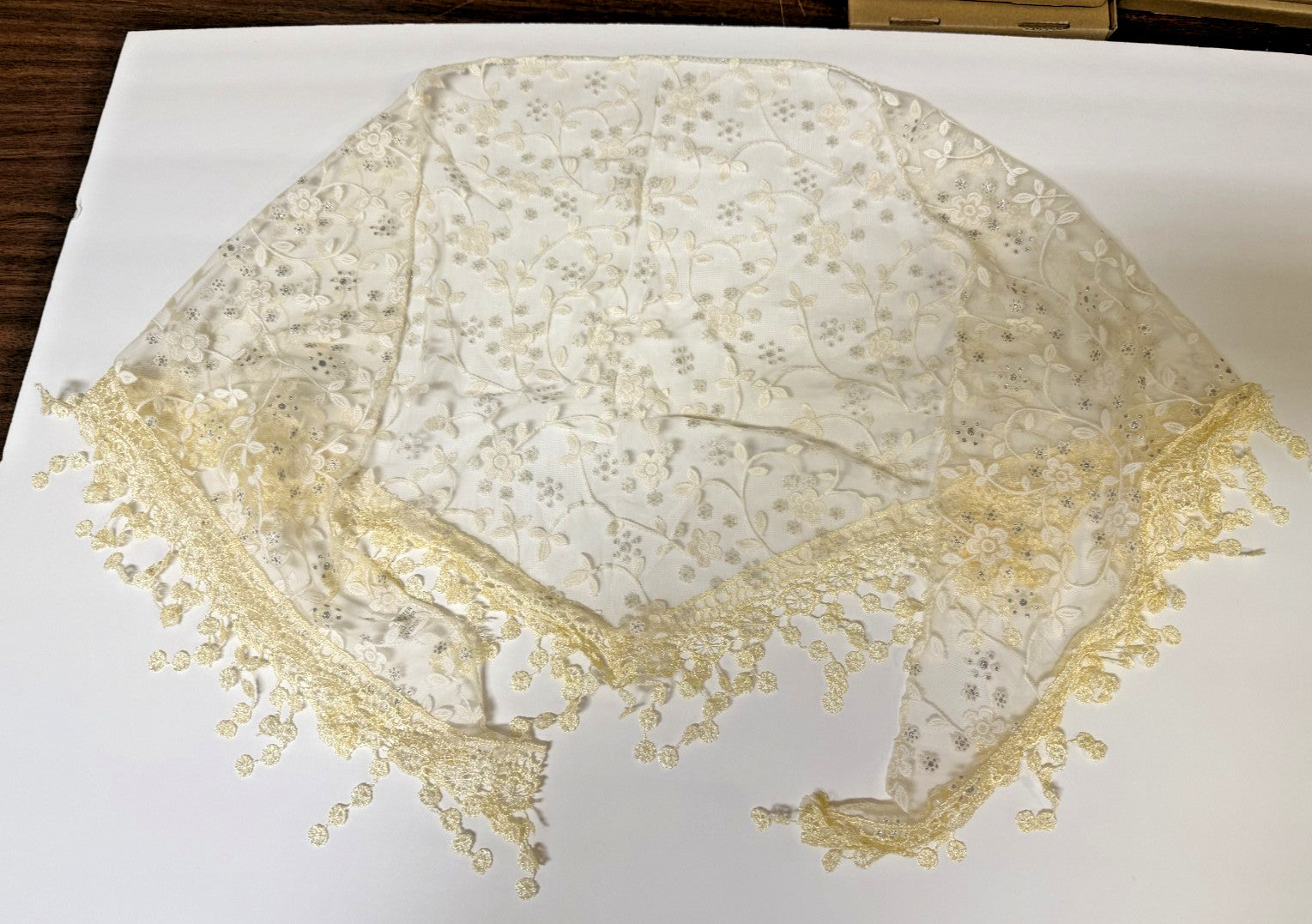 Women's  Beige Lace Church Veil, New #AB-425-R2 - Journeys of Faith