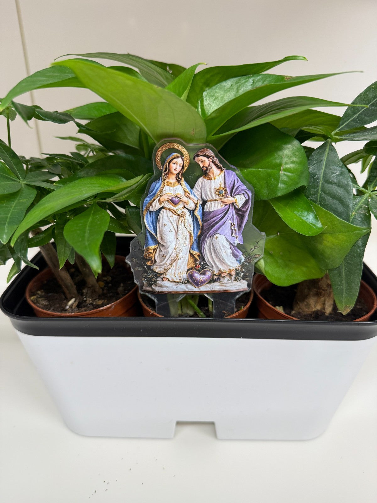 Savred Hearts of Jesus & Mary Acrylic Garden Stake, New #ALM-028-R2 - Journeys of Faith