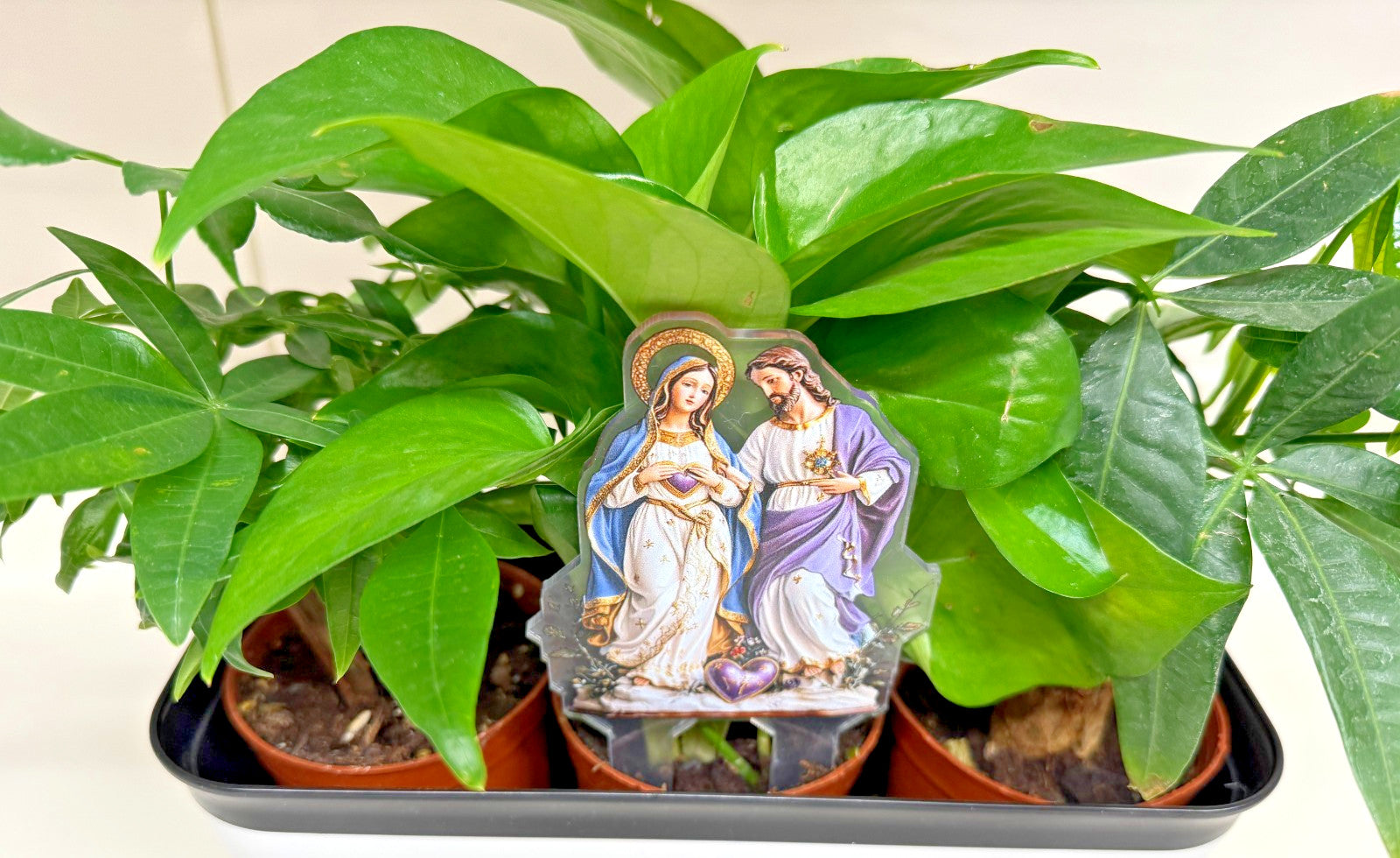Savred Hearts of Jesus & Mary Acrylic Garden Stake, New #ALM-028-R2 - Journeys of Faith