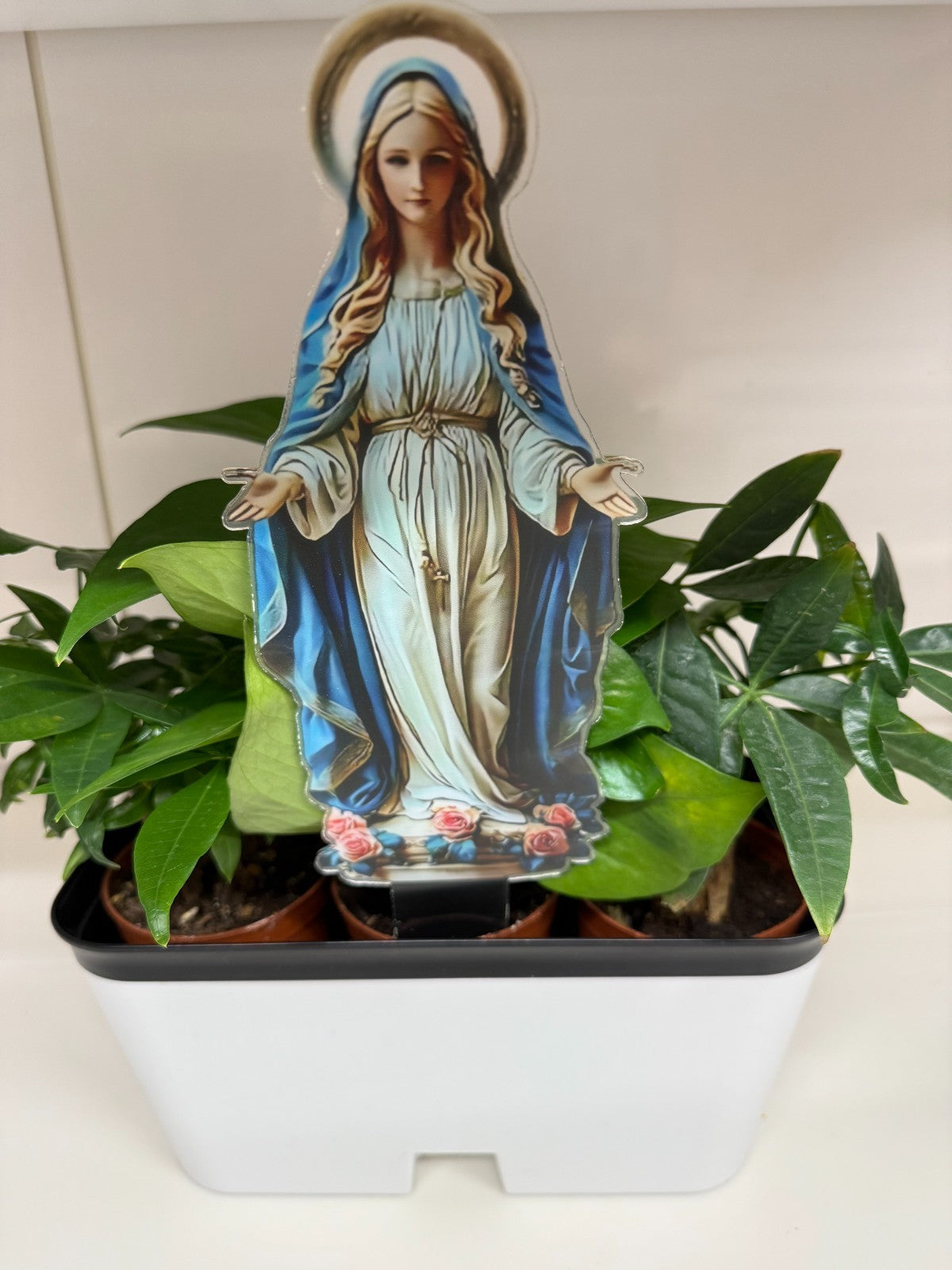 Blessed Mary Acrylic Garden Stake, New #ALM-022-R2 - Journeys of Faith