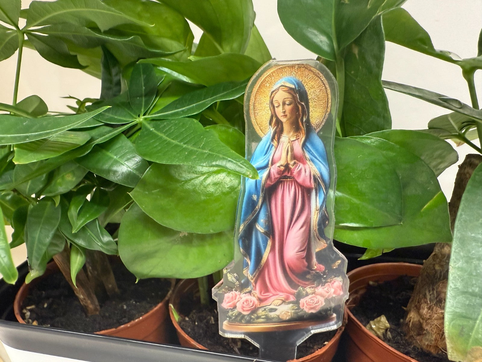Blessed Mother Acrylic Garden Stake(pink & blue), New #ALM-026-R2 - Journeys of Faith