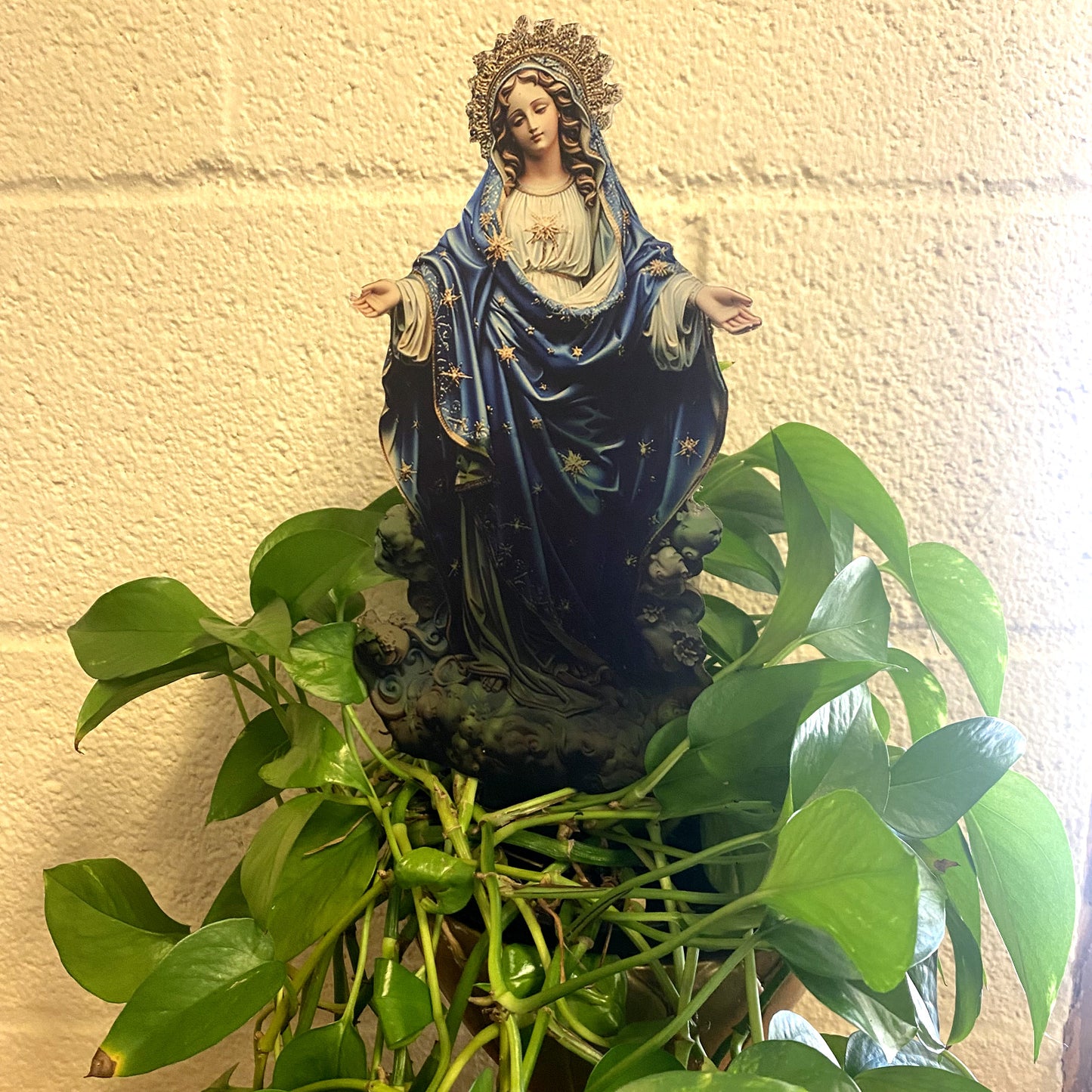 Blessed Mother Image set on Acrylic Plant Stake, New #ALM-06-R2