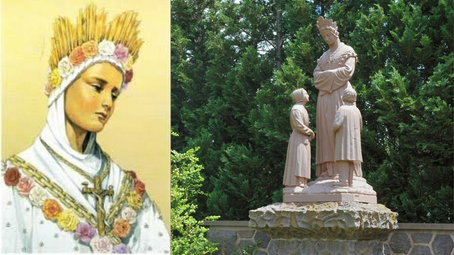 Our Lady of La Salette DVD by Bob & Penny Lord, New - Journeys of Faith