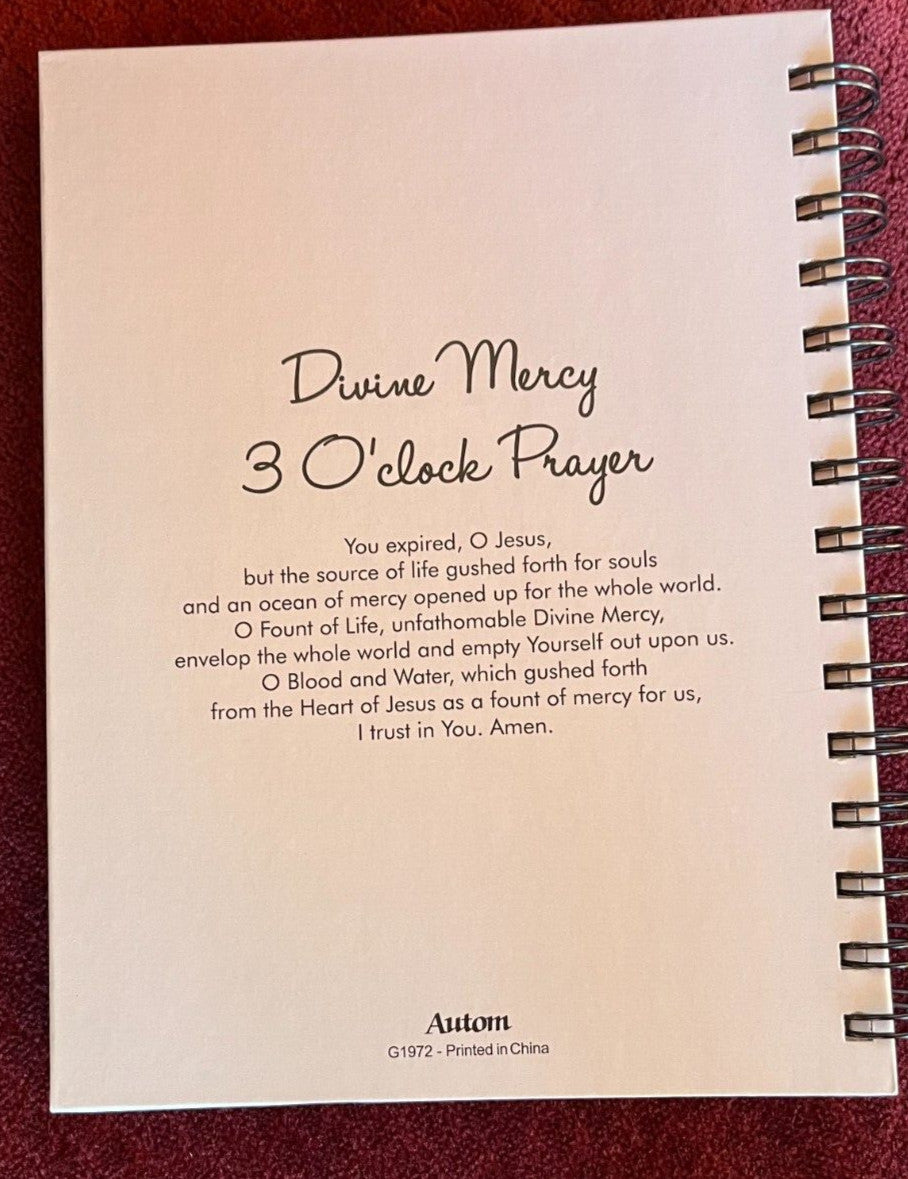 Divine Mercy hardcover journal with religious artwork, featuring Christian figures, from Bob and Penny Lord.