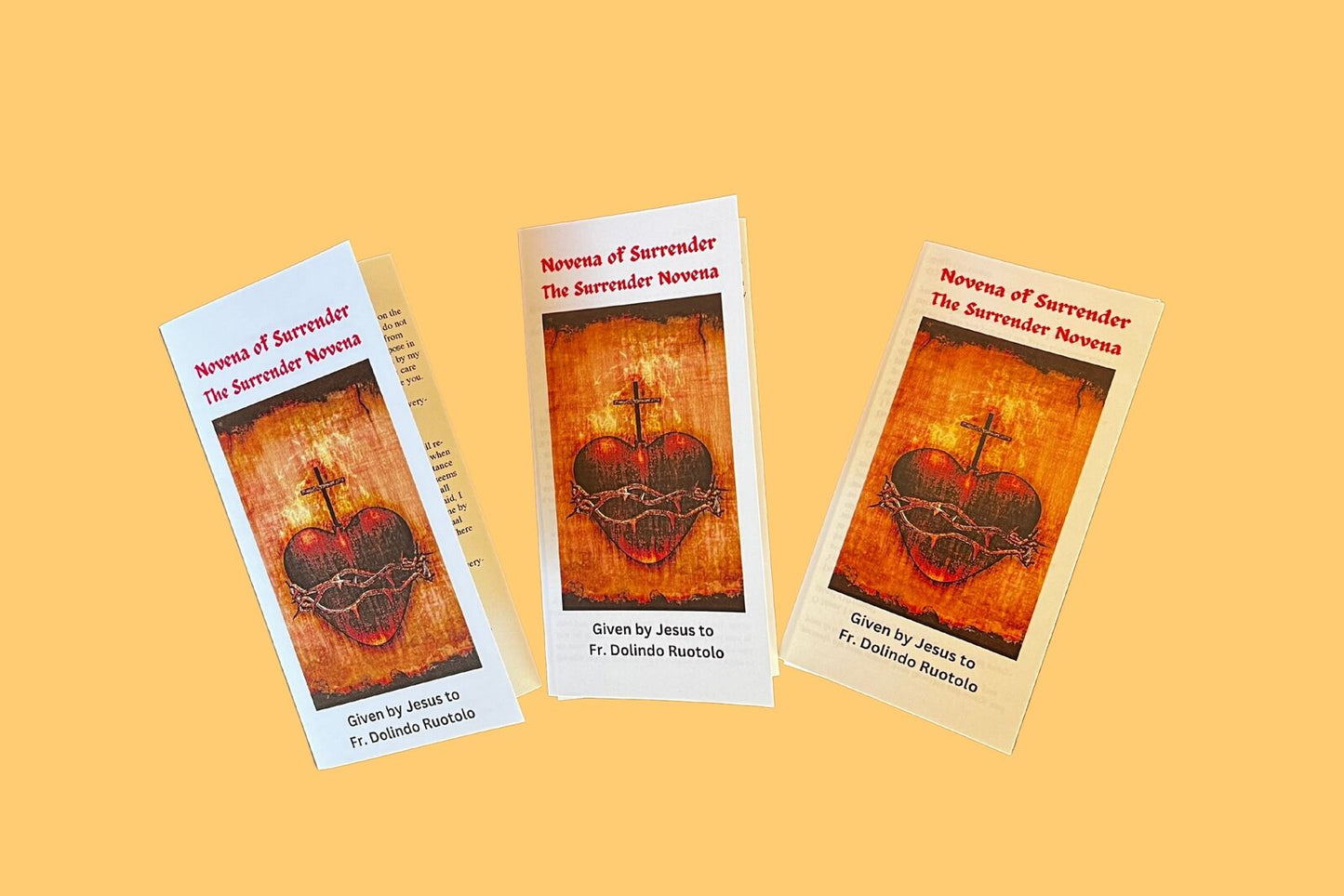 Surrender - Large Print Novena of Surrender to the Will of God Trifold Holy Card Packages - Bob and Penny Lord