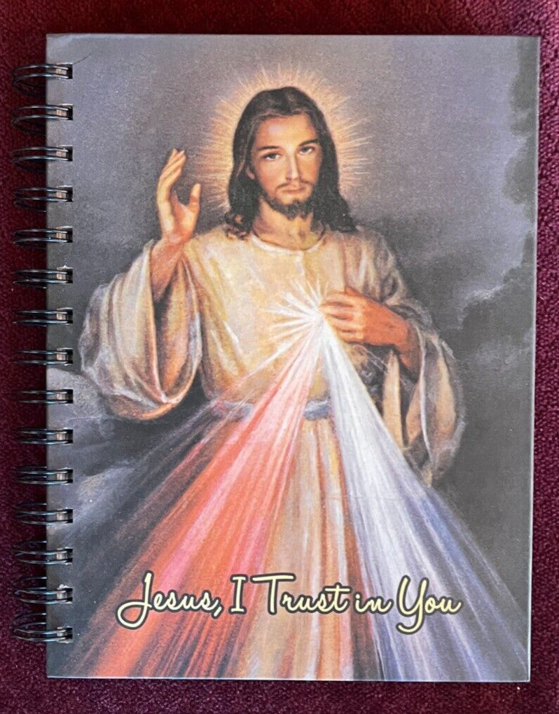 Divine Mercy hardcover journal by Bob and Penny Lord featuring religious Christianity statue design, perfect for spiritual notes and reflection.