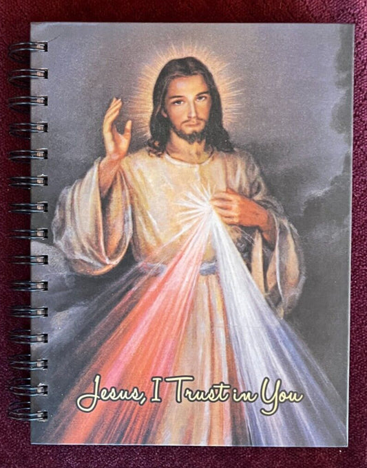 Divine Mercy hardcover journal by Bob and Penny Lord featuring religious Christianity statue design, perfect for spiritual notes and reflection.