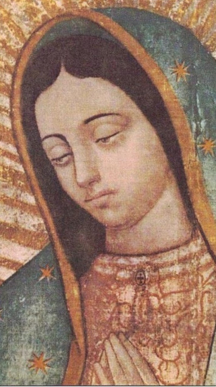 Our Lady of Guadalupe Magnet, New  #MD-065 - Journeys of Faith