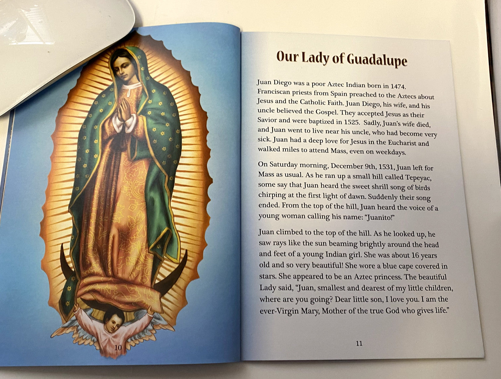 The Apparitions of Mary Paperback Book, New #AB-198-2 - Journeys of Faith