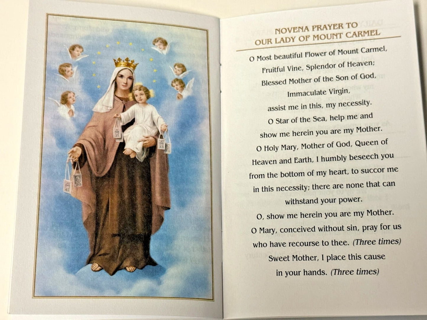 The Brown Scapular Booklet, New #Gftshp-196 Journeys of Faith Collectibles:Religion & Spirituality:Christianity:Holy Cards